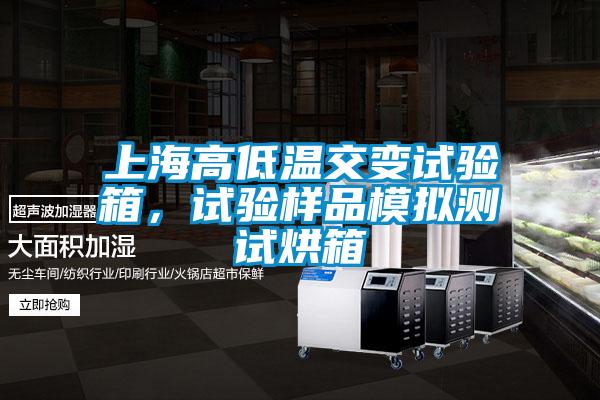 上海高低溫交變試驗(yàn)箱，試驗(yàn)樣品模擬測試烘箱