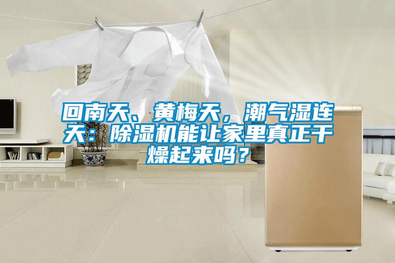 回南天、黃梅天，潮氣濕連天：除濕機能讓家里真正干燥起來嗎？