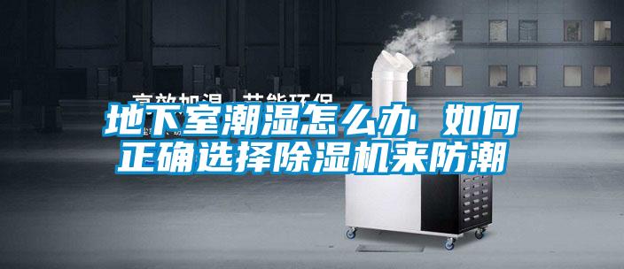 地下室潮濕怎么辦 如何正確選擇除濕機(jī)來(lái)防潮