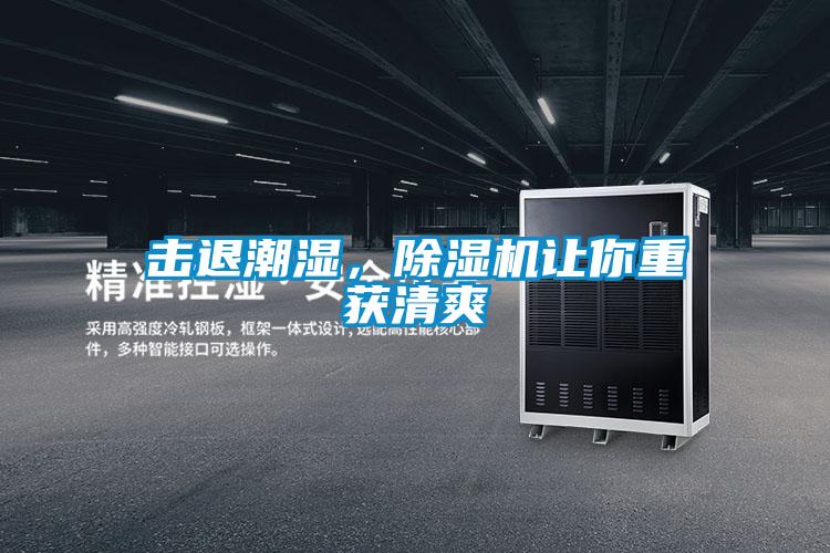 擊退潮濕，除濕機讓你重獲清爽