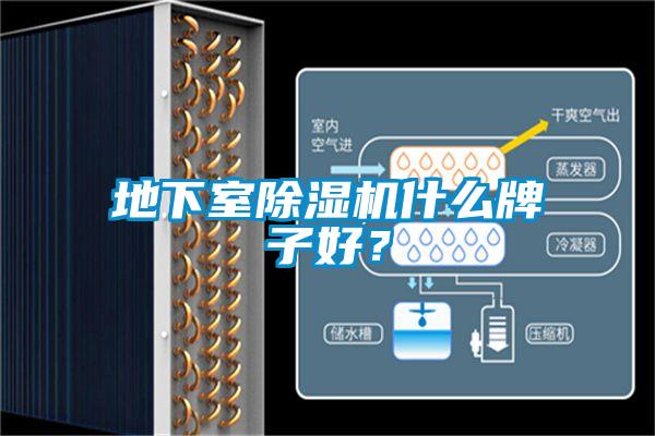 地下室除濕機什么牌子好？