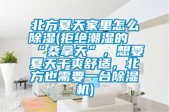 北方夏天家里怎么除濕(拒絕潮濕的“桑拿天”，想要夏天干爽舒適，北方也需要一臺除濕機)
