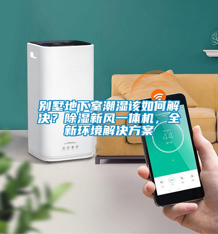 別墅地下室潮濕該如何解決？除濕新風(fēng)一體機(jī)，全新環(huán)境解決方案