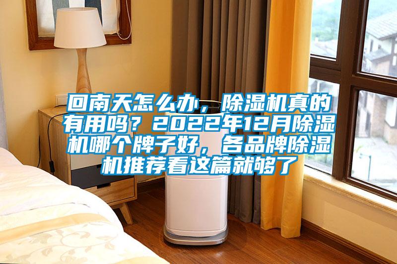回南天怎么辦，除濕機(jī)真的有用嗎？2022年12月除濕機(jī)哪個牌子好，各品牌除濕機(jī)推薦看這篇就夠了