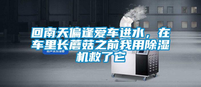 回南天偏逢愛車進水，在車里長蘑菇之前我用除濕機救了它