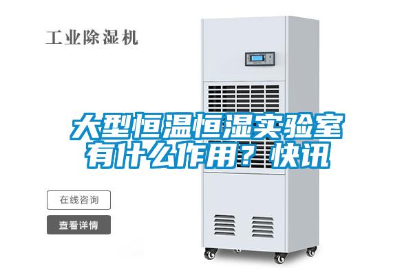 大型恒溫恒濕實驗室有什么作用？快訊