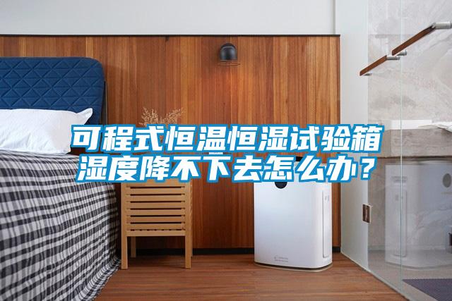 可程式恒溫恒濕試驗(yàn)箱濕度降不下去怎么辦？