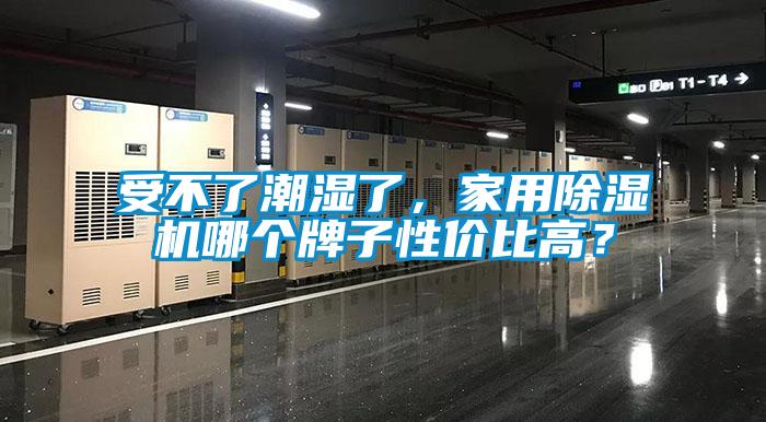 受不了潮濕了，家用除濕機哪個牌子性價比高？