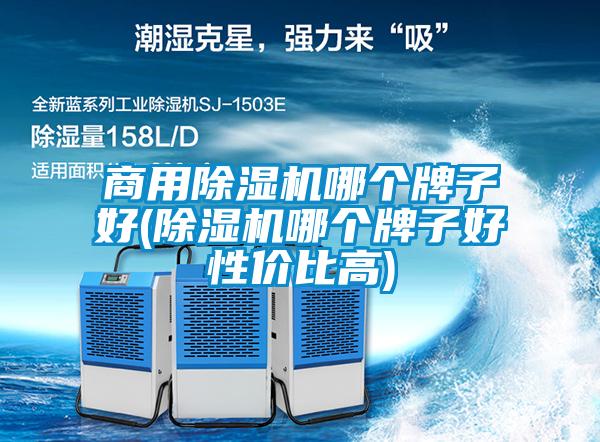 商用除濕機(jī)哪個牌子好(除濕機(jī)哪個牌子好性價比高)