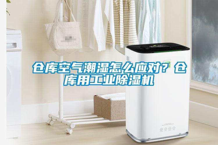 倉(cāng)庫(kù)空氣潮濕怎么應(yīng)對(duì)？倉(cāng)庫(kù)用工業(yè)除濕機(jī)