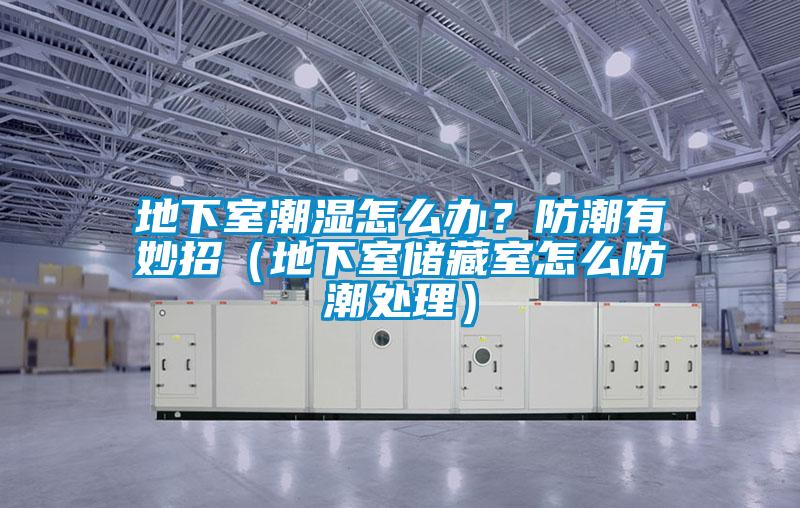 地下室潮濕怎么辦？防潮有妙招（地下室儲(chǔ)藏室怎么防潮處理）