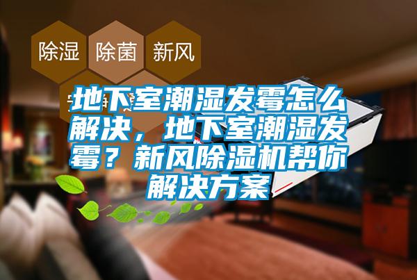 地下室潮濕發(fā)霉怎么解決，地下室潮濕發(fā)霉？新風(fēng)除濕機(jī)幫你解決方案