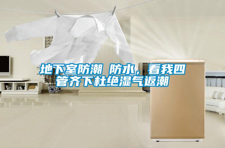 地下室防潮≠防水，看我四管齊下杜絕濕氣返潮