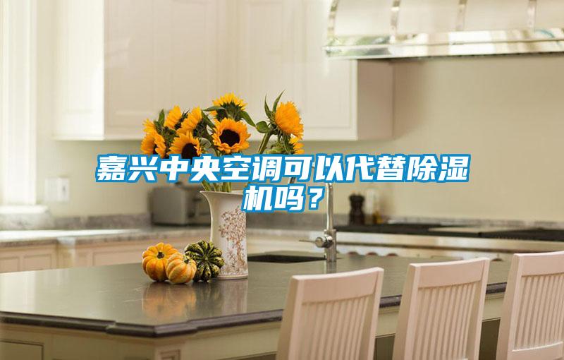 嘉興中央空調(diào)可以代替除濕機(jī)嗎？