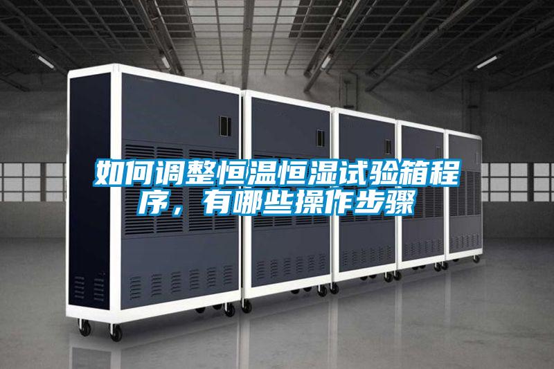 如何調(diào)整恒溫恒濕試驗箱程序，有哪些操作步驟