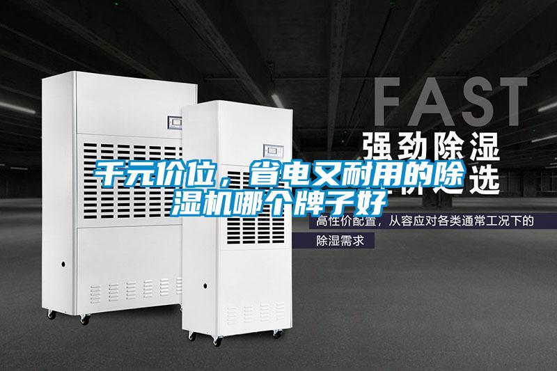 千元價位，省電又耐用的除濕機哪個牌子好
