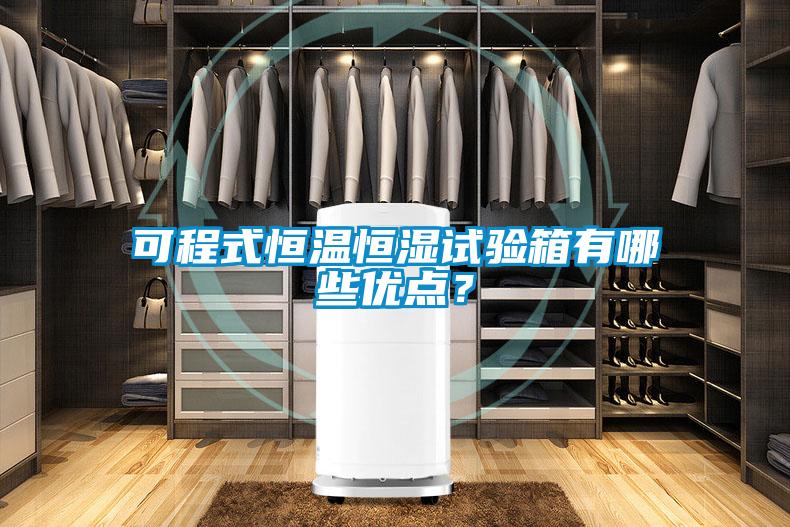 可程式恒溫恒濕試驗箱有哪些優(yōu)點？