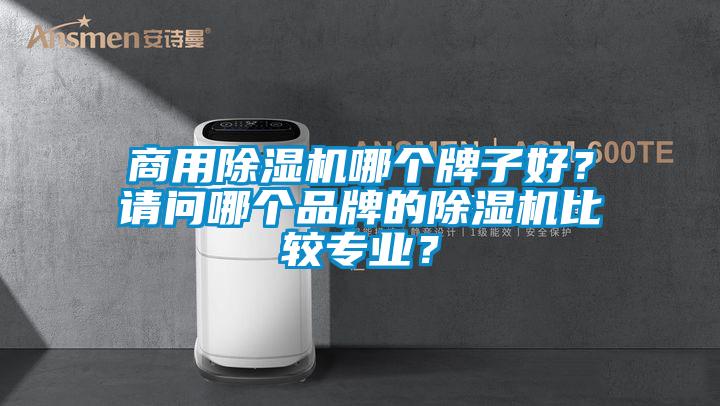 商用除濕機(jī)哪個牌子好？請問哪個品牌的除濕機(jī)比較專業(yè)？