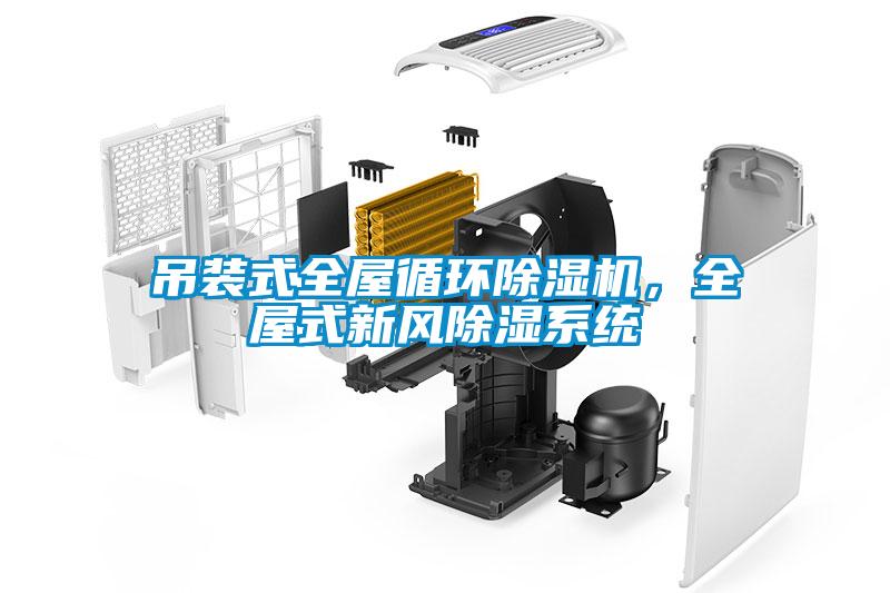 吊裝式全屋循環(huán)除濕機，全屋式新風除濕系統(tǒng)