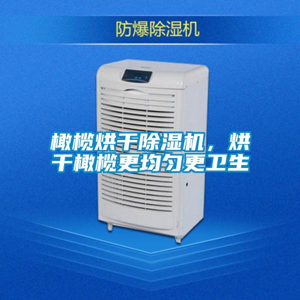 橄欖烘干除濕機(jī)，烘干橄欖更均勻更衛(wèi)生