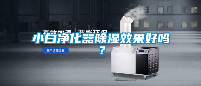 小白凈化器除濕效果好嗎？
