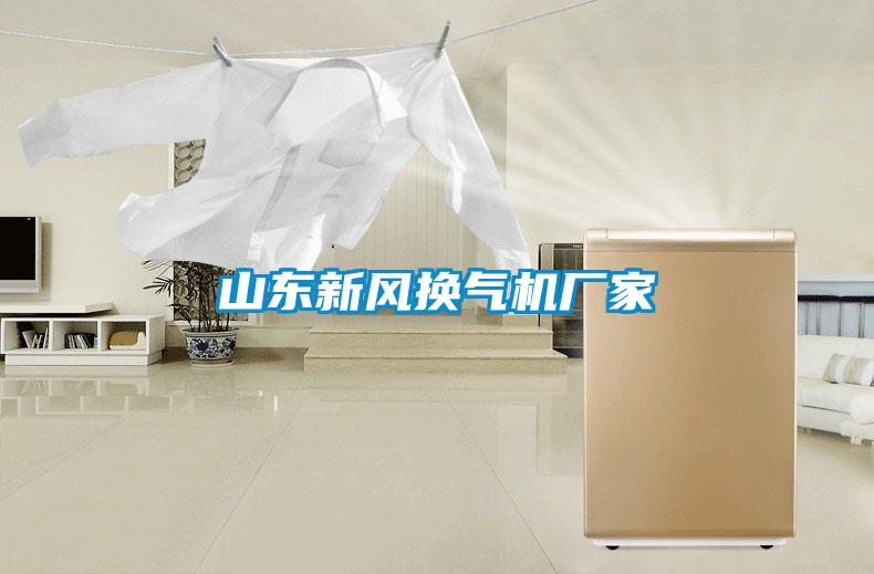 山東新風(fēng)換氣機廠家