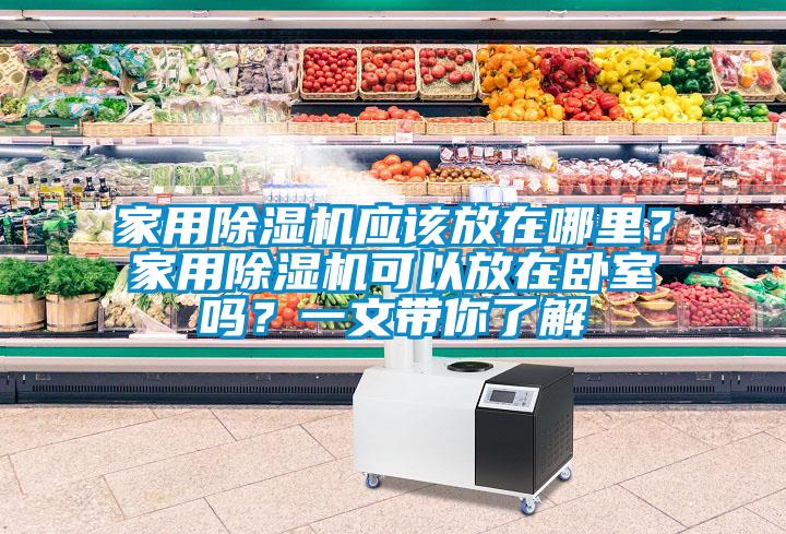 家用除濕機(jī)應(yīng)該放在哪里？家用除濕機(jī)可以放在臥室嗎？一文帶你了解
