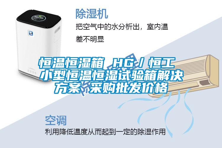 恒溫恒濕箱 HG／恒工 小型恒溫恒濕試驗(yàn)箱解決方案 采購批發(fā)價(jià)格