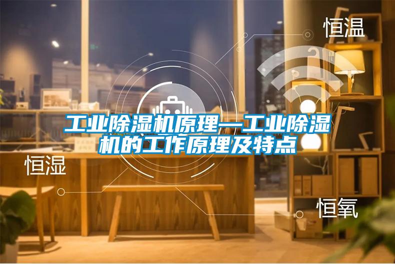 工業(yè)除濕機(jī)原理—工業(yè)除濕機(jī)的工作原理及特點