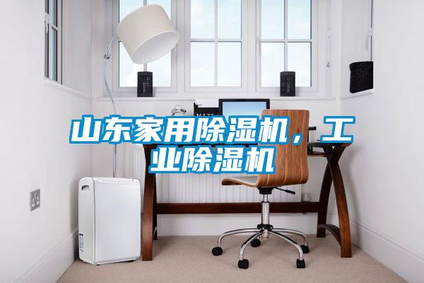 山東家用除濕機，工業(yè)除濕機