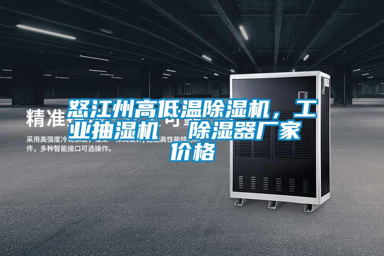怒江州高低溫除濕機，工業(yè)抽濕機  除濕器廠家 價格