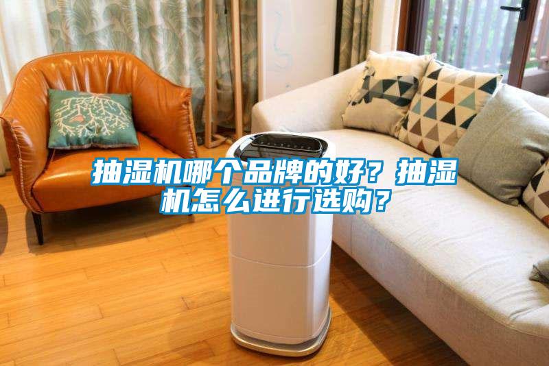 抽濕機(jī)哪個(gè)品牌的好？抽濕機(jī)怎么進(jìn)行選購？