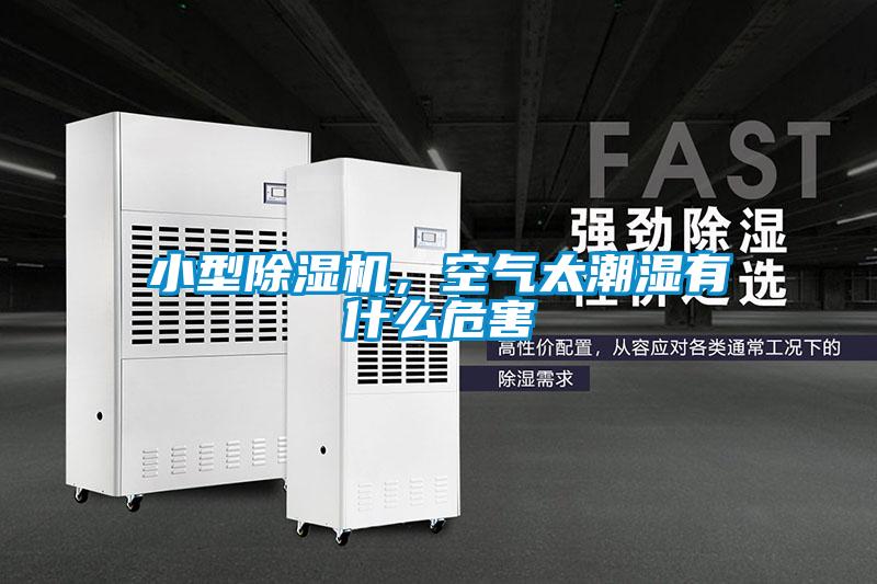 小型除濕機(jī)，空氣太潮濕有什么危害