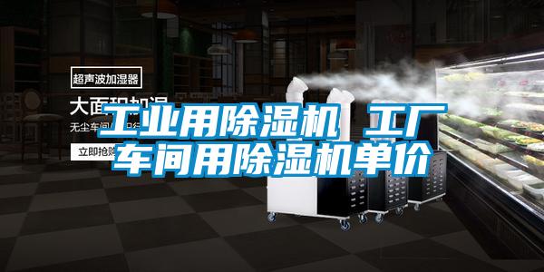 工業(yè)用除濕機(jī) 工廠車間用除濕機(jī)單價(jià)