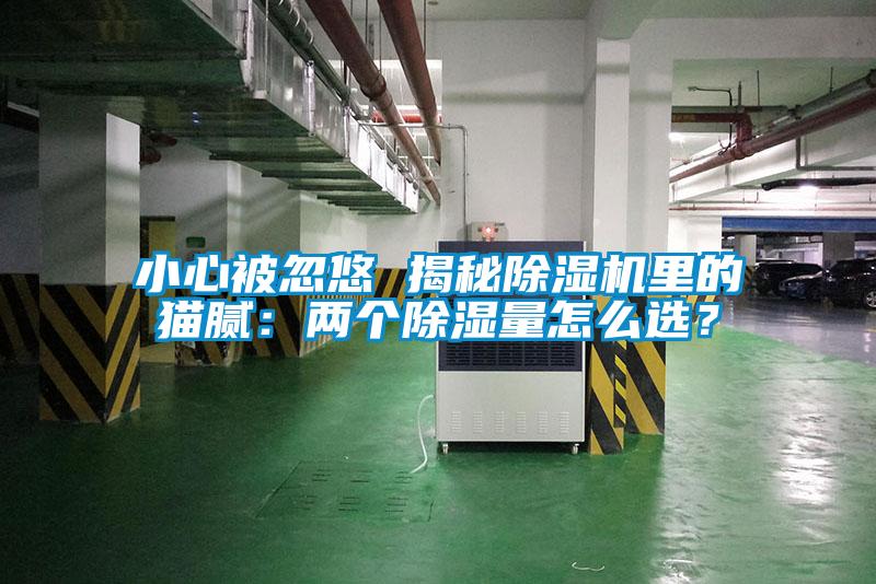 小心被忽悠 揭秘除濕機里的貓膩：兩個除濕量怎么選？