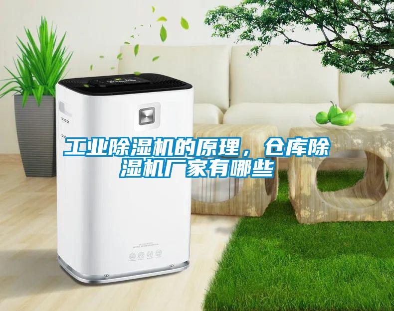 工業(yè)除濕機的原理，倉庫除濕機廠家有哪些