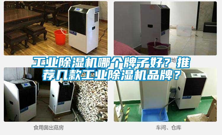 工業(yè)除濕機(jī)哪個牌子好？推薦幾款工業(yè)除濕機(jī)品牌？