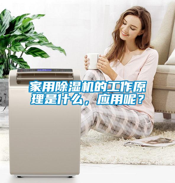 家用除濕機的工作原理是什么，應用呢？