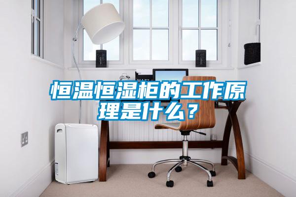 恒溫恒濕柜的工作原理是什么？