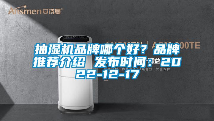 抽濕機(jī)品牌哪個(gè)好？品牌推薦介紹 發(fā)布時(shí)間：2022-12-17