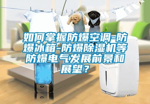 如何掌握防爆空調(diào)-防爆冰箱-防爆除濕機(jī)等防爆電氣發(fā)展前景和展望？