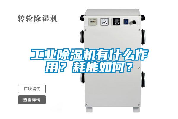 工業(yè)除濕機(jī)有什么作用？耗能如何？