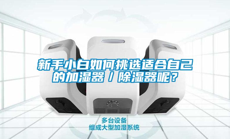 新手小白如何挑選適合自己的加濕器／除濕器呢？