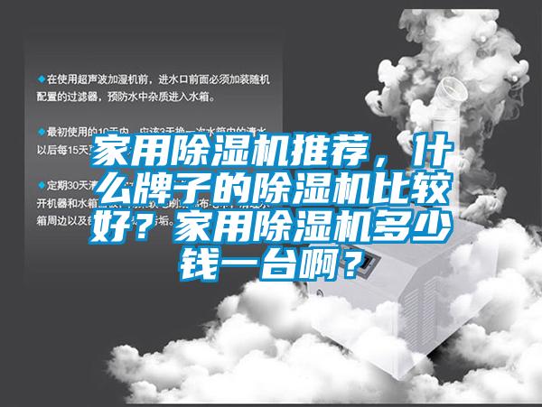 家用除濕機(jī)推薦，什么牌子的除濕機(jī)比較好？家用除濕機(jī)多少錢一臺(tái)啊？