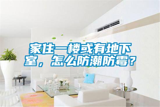 家住一樓或有地下室，怎么防潮防霉？