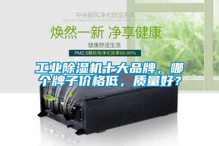 工業(yè)除濕機(jī)十大品牌，哪個(gè)牌子價(jià)格低，質(zhì)量好？