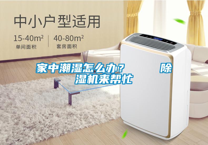 家中潮濕怎么辦？    除濕機來幫忙