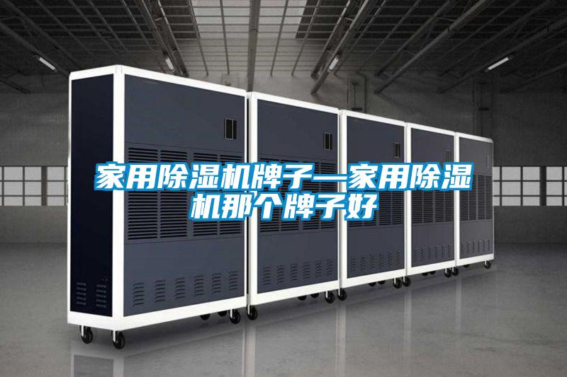 家用除濕機(jī)牌子—家用除濕機(jī)那個牌子好