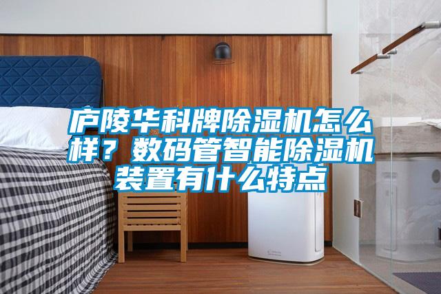 廬陵華科牌除濕機怎么樣？數(shù)碼管智能除濕機裝置有什么特點