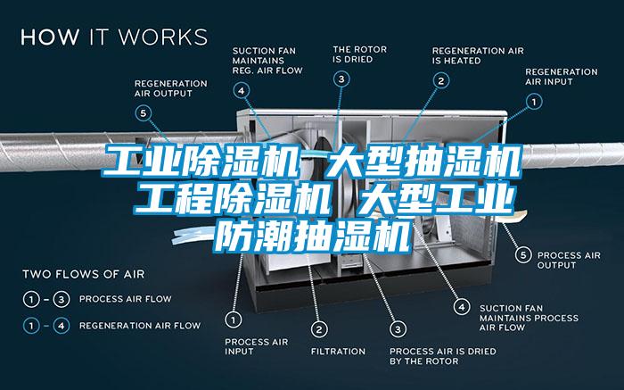 工業(yè)除濕機 大型抽濕機 工程除濕機 大型工業(yè)防潮抽濕機